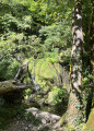 Cascade