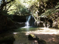 Cascade