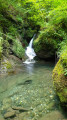 Cascadelle de la Génie Braque