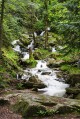 Cascades de Bockloch, vers 800m d'altitude