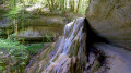 Au long des ruisseaux, de la Peusse à la Baume Bourla