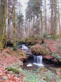 Cascade, tapis de mousse et sculpture insolite à la Gorge le Loup