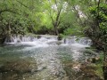 cascades cascades