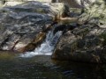 Cascades Cascades
