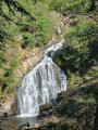 Cascades