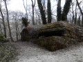 Casemate