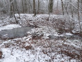 Ouvrages 14/18 dans le Bois le Loup Saint-Jean-Fontaine à Brin-sur-Seille