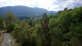 Le Col du Trébuchet au départ d'Amirat