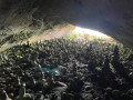 Cave