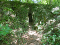 Cavit&eacute; dans la roche