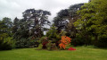 De Boulogne à Bougival par le Parc de Saint-Cloud et le Bois de La Celle