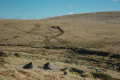 Centre of image, Black Tor Stone Row