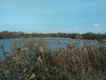Vue sur les bassins