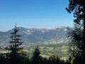La Forestière