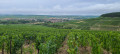 Chablis depuis le vignoble
