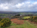 Chagford from Nattadon Common