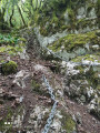 Chaîne (accessible aux chiens)