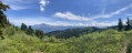Chaine du Mont-Blanc et les sommets occidentaux du d&eacute;sert de Plat&eacute; depuis le col de Jaillet