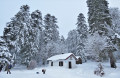 chalet de Blanchemer
