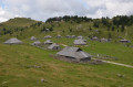 Balade sur le plateau buccolique de Velika Planina