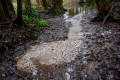Chalk spring