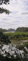 Chambord 220826