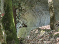 Gorges de l'Areuse
