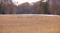 Les Baraques la Bresse - Refuge Trois Fours