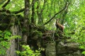 Le Belvédère des Grands Ruins Le Belvédère des Grands Ruins