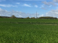 Champ de blé au printemps, le bocage, la forêt de Valcongrain et le pylône du Mont Pinçon au fond à gauche