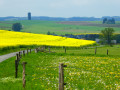 Paysages ardennais à Chenogne