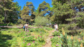 Circuit des Pivoines depuis la Sation de Gréolières-les-Neiges Circuit des Pivoines depuis la Sation de Gréolières-les-Neiges