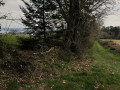 Chemin le long du champ pour rejoindre la route
