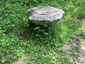 Champignon de pierre de la route de Bellevue (Forêt de Marly)