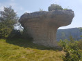 Champignon préhistorique Champignon préhistorique