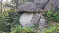 Champignon