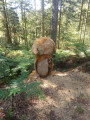 Champignon