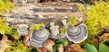 Champignon