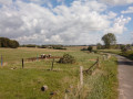 Champs, bois, vaches et village