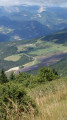 Champs de Lavande Champs de Lavande