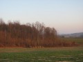 Champs et meules de foin