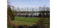 Champs inondés en période de crue de la Saône.