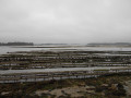 Parcs ostreicoles Parcs ostreicoles