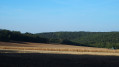 Champs sur les hauteurs de Rosoy Champs sur les hauteurs de Rosoy