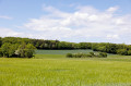 Fields