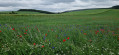 Chant de couleurs