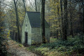 Chapelle dans la forêt