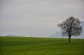 La Chapelle de Champeillant et les Oratoires de Champanges et Féternes