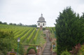 Rundgang auf den Höhen von Marlenheim - Wasselonne rund um den Stephansberg