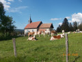 Chapelle de Montpetot et Roche Sarrasine